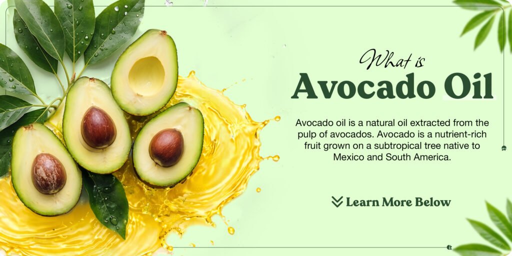 What is Avocado Oil
Avocado oil is a natural oil extracted from the pulp of avocados. Avocado is a nutrient-rich fruit grown on a subtropical tree native to Mexico and South America.