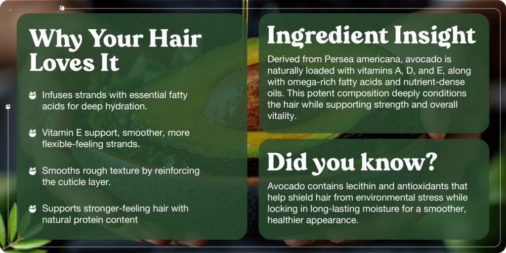 Why Your Hair Loves It
Infuses strands with essential fatty acids for deep hydration.
Vitamin E support, smoother, more flexible-feeling strands.
Smooths rough texture by reinforcing the cuticle layer.
Supports stronger-feeling hair with natural protein content

Ingredient Insight
Derived from Persea americana, avocado is naturally loaded with vitamins A, D, and E, along with omega-rich fatty acids and nutrient-dense oils. This potent composition deply conditions the hair while supporting strength and overall vitality.

Did you know?
Avocado contains lecithin and antioxidants that help shield hair from environmental stress while locking in long-lasting moisture for a smoother, healthier appearance.