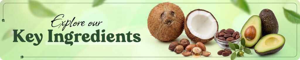 Explore our Key Ingredients